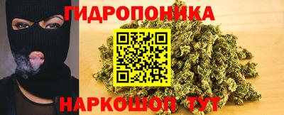 Альфа ПВП Заволжье