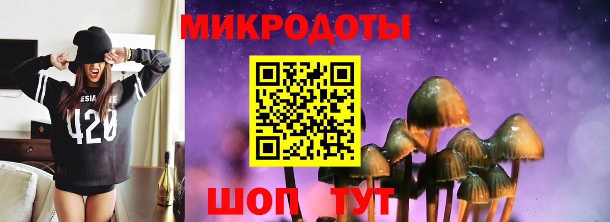 Корсаков  Псилоцибиновые грибы мухоморы  Вход с VPN  Галлюциногенные грибы мицелий 